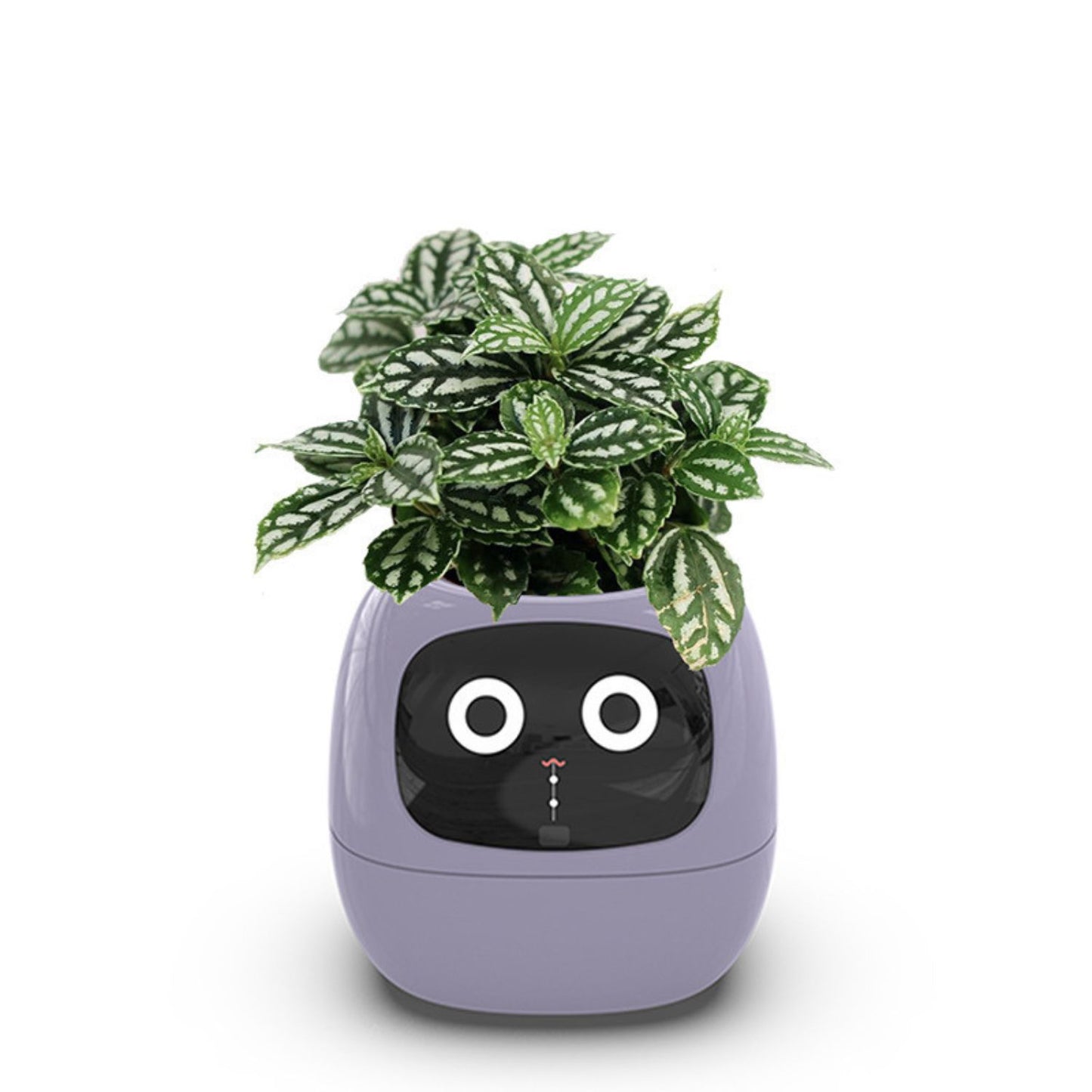 Opacoo™ Emoji Smart Plant Pot