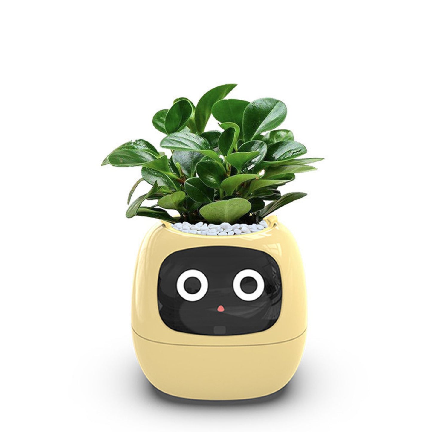 Opacoo™ Emoji Smart Plant Pot