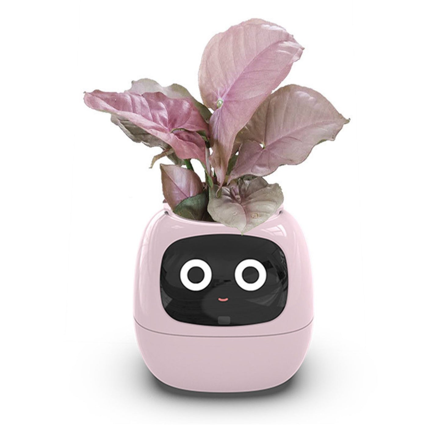 Opacoo™ Emoji Smart Plant Pot