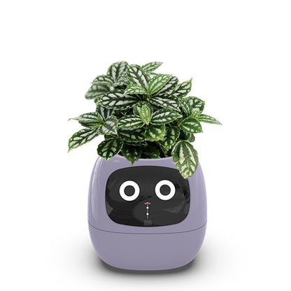 Opacoo™ Emoji Smart Plant Pot