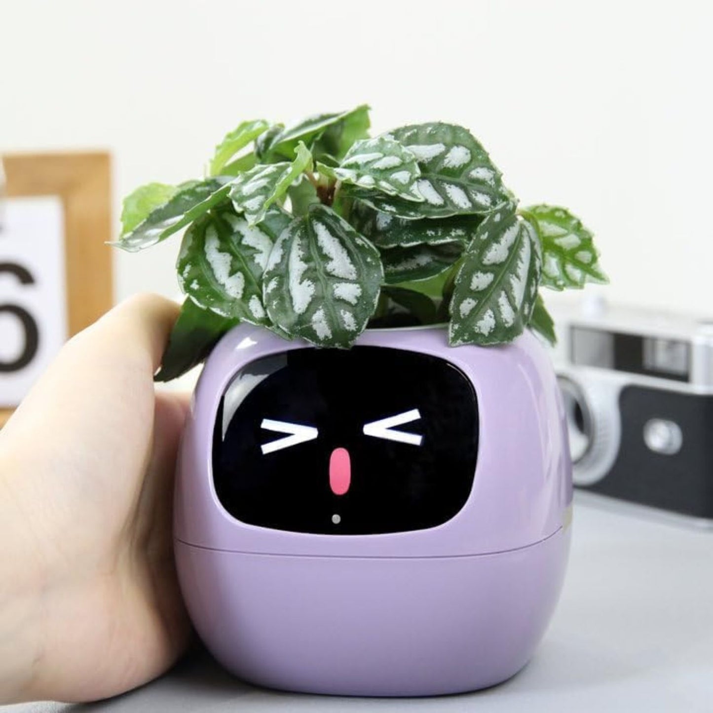 Opacoo™ Emoji Smart Plant Pot