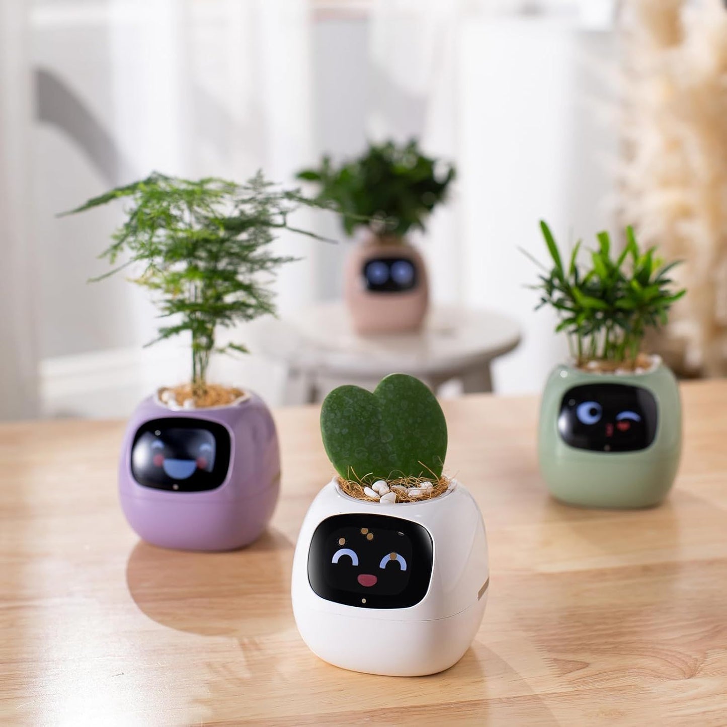 Opacoo™ Emoji Smart Plant Pot