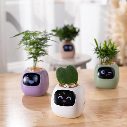 Opacoo™ Emoji Smart Plant Pot