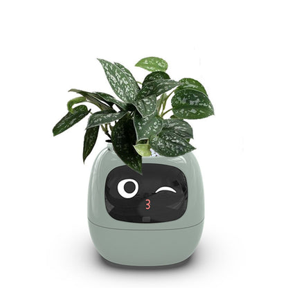Opacoo™ Emoji Smart Plant Pot